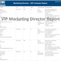 VIP Marketing Director Report
