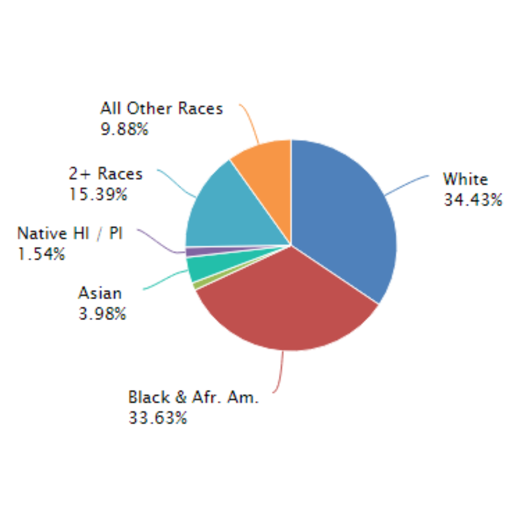 Trade Area Population by Ethnicity