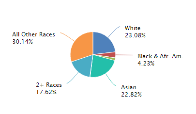 Trade Area Population by Ethnicity