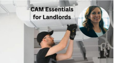 CAM article summary image